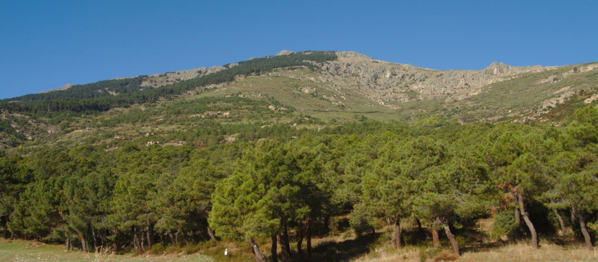 Nouvelle source-Casa de los Llanillos
