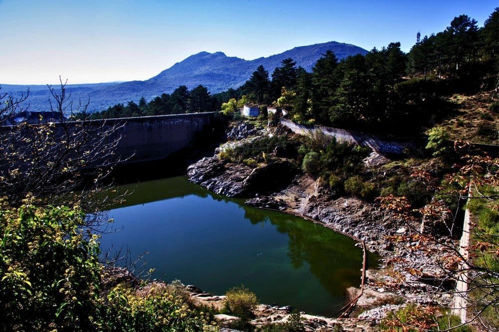 Pinar de Abantos