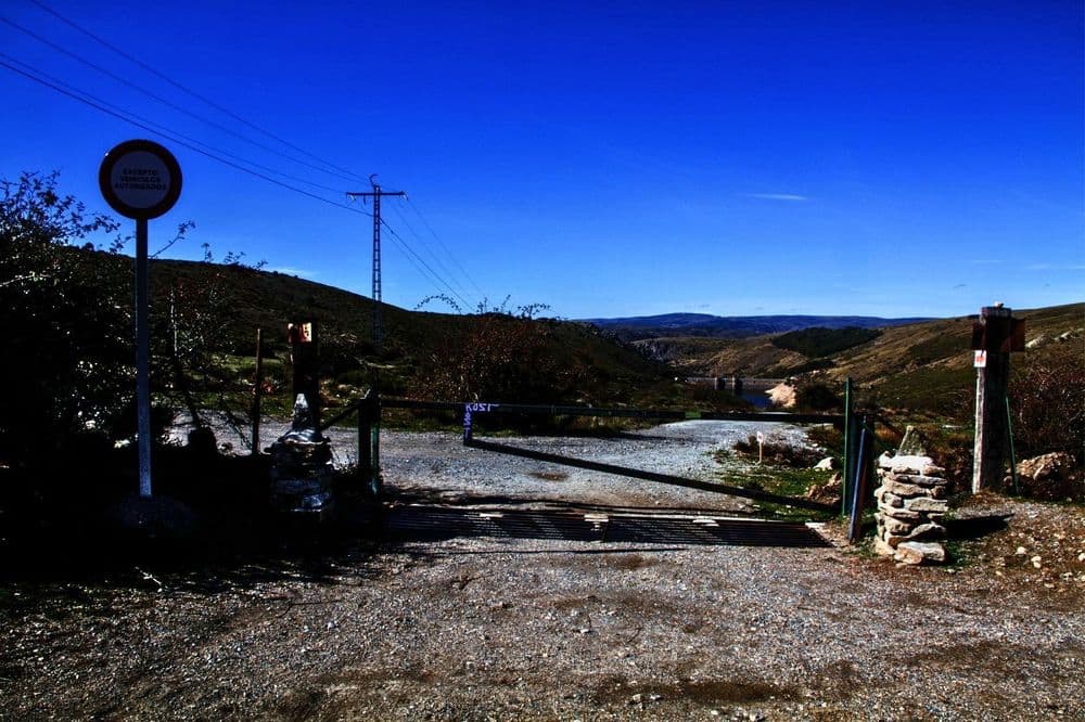 Pinar de Abantos