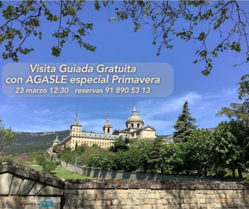 Visita Guiada Gratuita AGASLE_